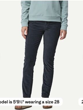 Patagonia Corduroy Pants - Navy/Grey